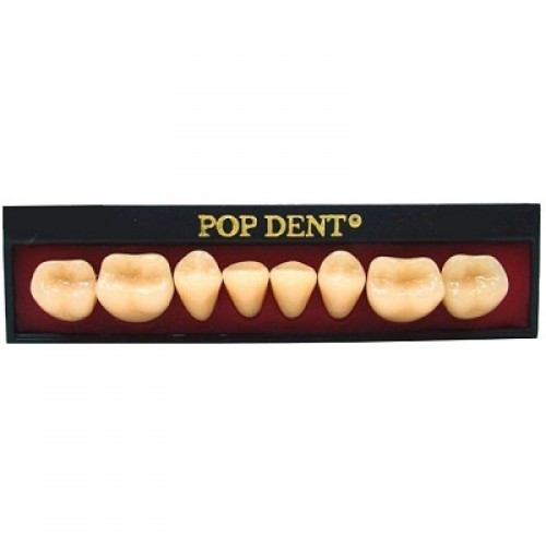 Dente importado placa 32L inferior 69